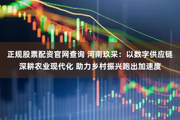 正规股票配资官网查询 河南玖采：以数字供应链深耕农业现代化 助力乡村振兴跑出加速度